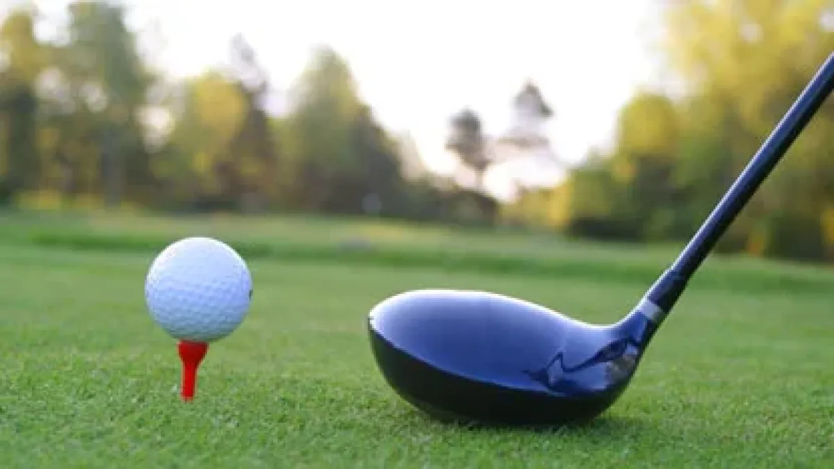 Golf driver resting behind a ball on the tee